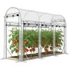 Clear Walk-in Tunnel, Hoop House Greenhouse with 8 Roll-Up Doors, 10' x 3' x 6.5',
