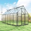 Polycarbonate Greenhouse with Swing Door and Two Adjustable Roof Vents, Aluminum Walk-in Greenhouse, 11x6 ft, Black