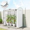 Portable White Mini Greenhouse with Roll-Up Door and 2 Mesh Windows, PE Cover, 78.7" x 29.5" x 74",