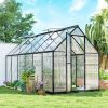 Polycarbonate Greenhouse with Swing Door and Two Adjustable Roof Vents, Aluminum Walk-in Greenhouse, 11x6 ft, Black