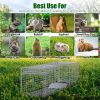 Live Small Animal Cage 27x7.5x8in Folding Catch and Release Steel Humane Trap for Racoons Stray Cats Rabbits Beavers Hedgehogs Chipmunk