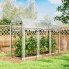 Clear Walk-in Tunnel, Hoop House Greenhouse with 8 Roll-Up Doors, 10' x 3' x 6.5',